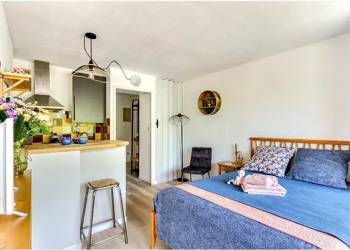 Studio Les Regates Avec Loggia Et Parking Gratuit Plage Du Grazel Gruissan